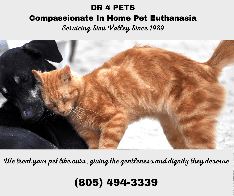 Simi Valley Mobile Veterinarian in Thousand Oaks, CA DR 4 PETS